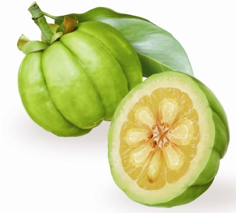 Garcinia Cambogia